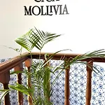 Casa Mollivia - Breath Taking Views Over Funchal (Madeira)
